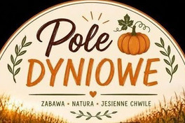 Pole Dyniowe